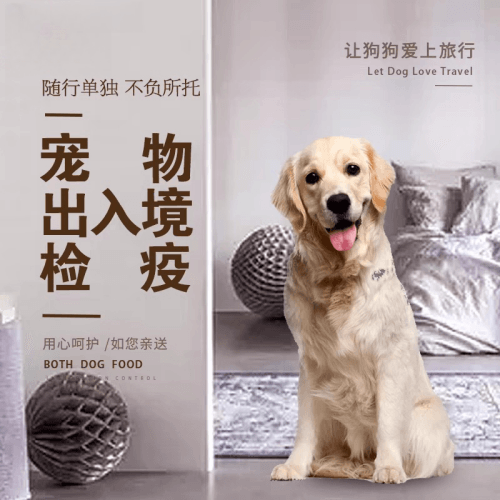 丽江市宠物托运到哥伦比亚猫狗宠物入境规定和
