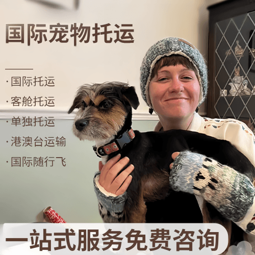 丽江市国际宠物托运到阿根廷宠物入境规定和要