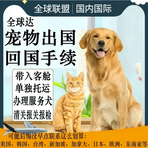 丽江市宠物托运到柬埔寨宠物入境规定和要求