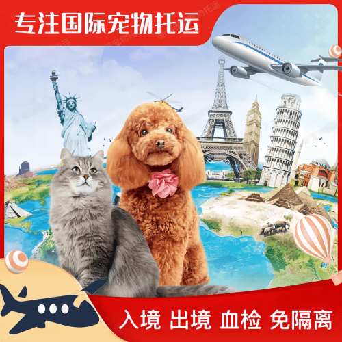 丽江市宠物托运到美国宠物入境最新规定和要求