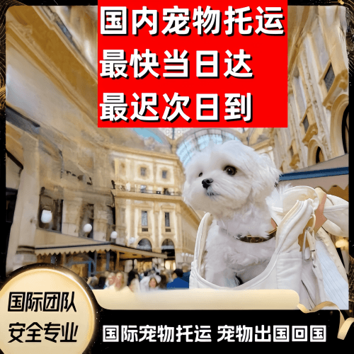 丽江市到澳大利亚（澳洲）宠物入境规定和要求
